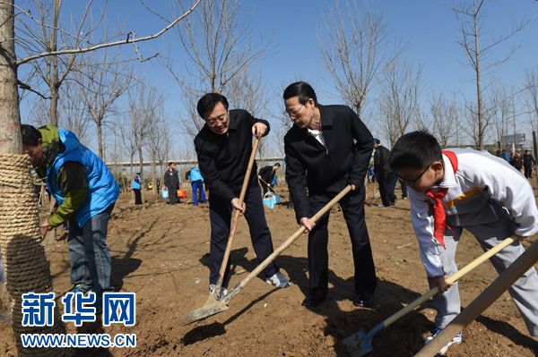 这是张高丽在植树。新华社记者 李学仁 摄
